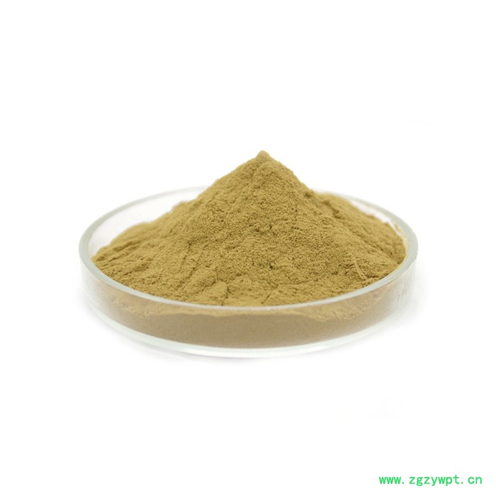 恒瑞康SC工厂直供 原料 鸡内金粉 鸡内金提取物 水溶鸡内金粉 植物提取物 1KG起批 现货图6