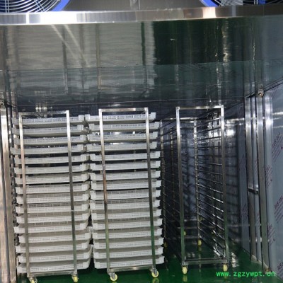 半夏烘干机 小型多功能半夏中药材烘干设备 中药饮片烘干箱