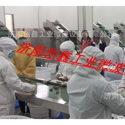 中药材微波干燥设备 隧道式设计操作方便 饮片微波烘干机