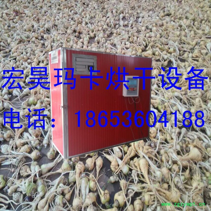 宏昊HH-60中小型 荷叶丝烘干箱 荷叶烘干房 菊花烘干机 枸杞烘干设备中药饮片干燥室 **图4