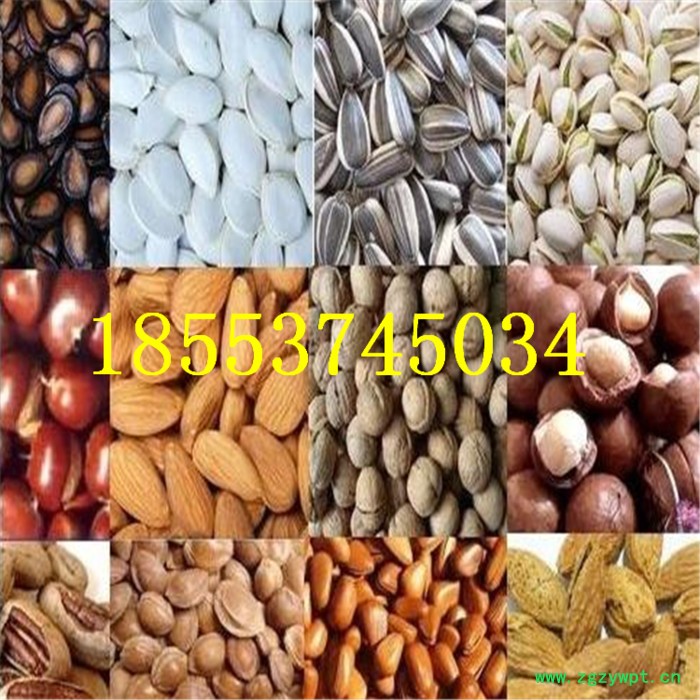 多功能麦类米类炒货机 多功能自动小型中药炒药机 燃气加热炒货机图5