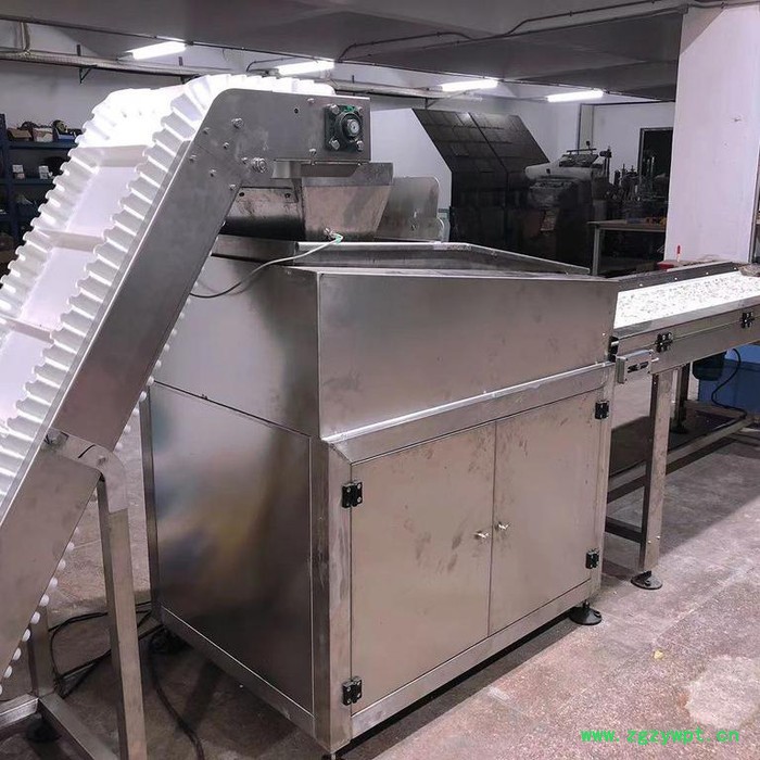 诚友CY-ZS6500 中药饮片自动拣选输送机-饮片分拣，拣选输送设备，筛粉除尘、吸铁屑功能图2