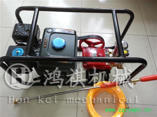 鸡鸭鹅饲料颗粒机易县果园好用打药机手推式打药机设备图4