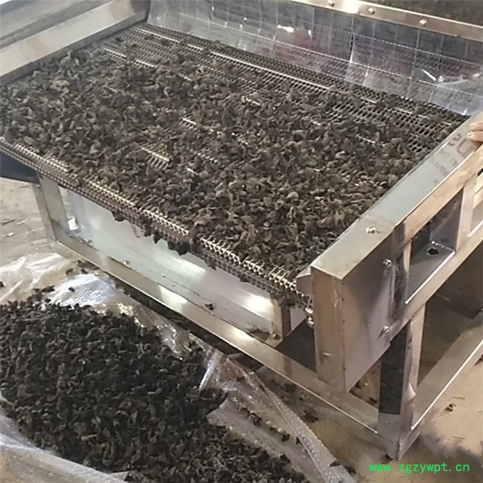 义康hg -4/3 型中药饮片食品烘干机 热风循环烘干箱 人参烘干设备图2