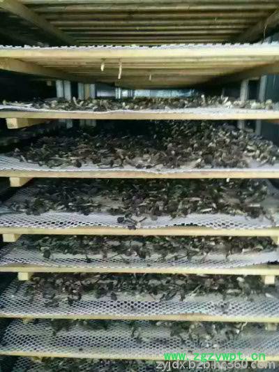 供应中药烘干机批发_中药烘干机产品价格优惠 中药饮片烘干机设备图2