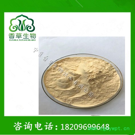 鸡内金提取物出厂价 长期供应鸡黄皮冻干粉300目 鸡内金粉批发图2