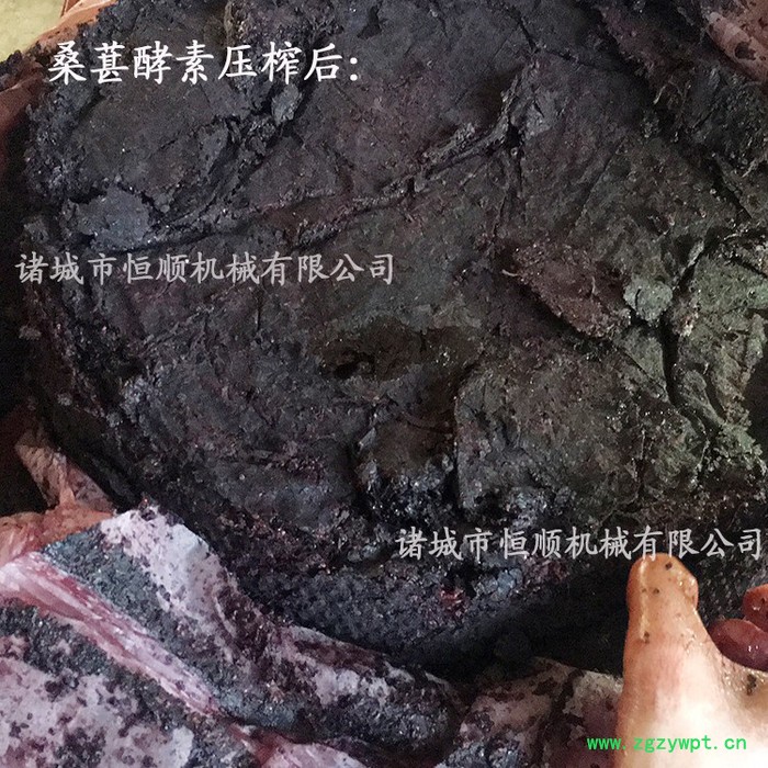 药材浸泡酒渣立式液压压榨机 房县洑汁黄酒榨汁机  绍兴黄酒酒糟压榨机图6