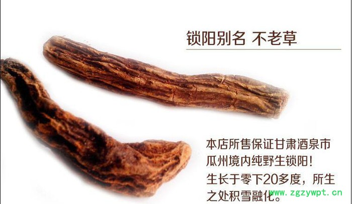 《康民》甘肃瓜州锁阳 散装500克 壮阳补肾补气 纯**特产图3