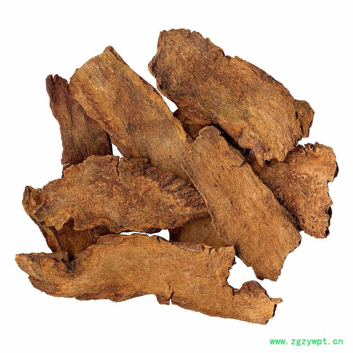 伍叶草生物  锁阳提取物 10:1    包邮图3