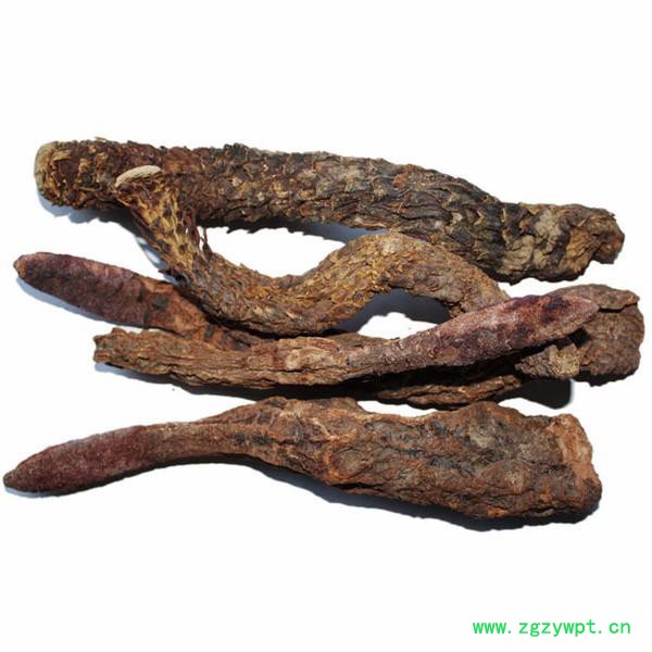 伍叶草生物  锁阳提取物 10:1    包邮图2