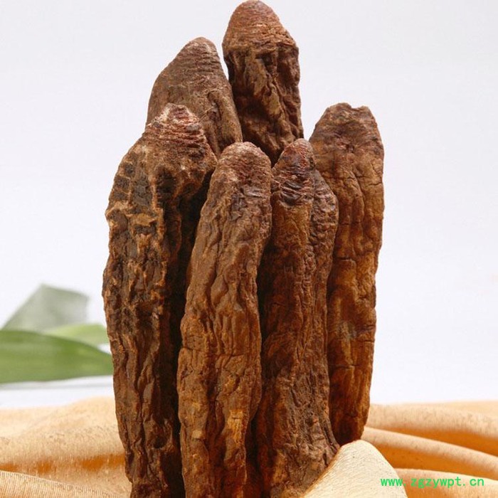 壮阳 甘肃特色 自产 壮阳 甘肃杞域蔚丰 特产， 野生， 红花 锁阳批发 产地批发图5