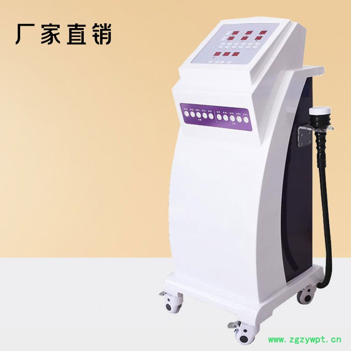 ZSJ830高周波精雕仪 美容院美体塑形身体仪器 美雕刮痧排毒排酸减肥仪定制图2