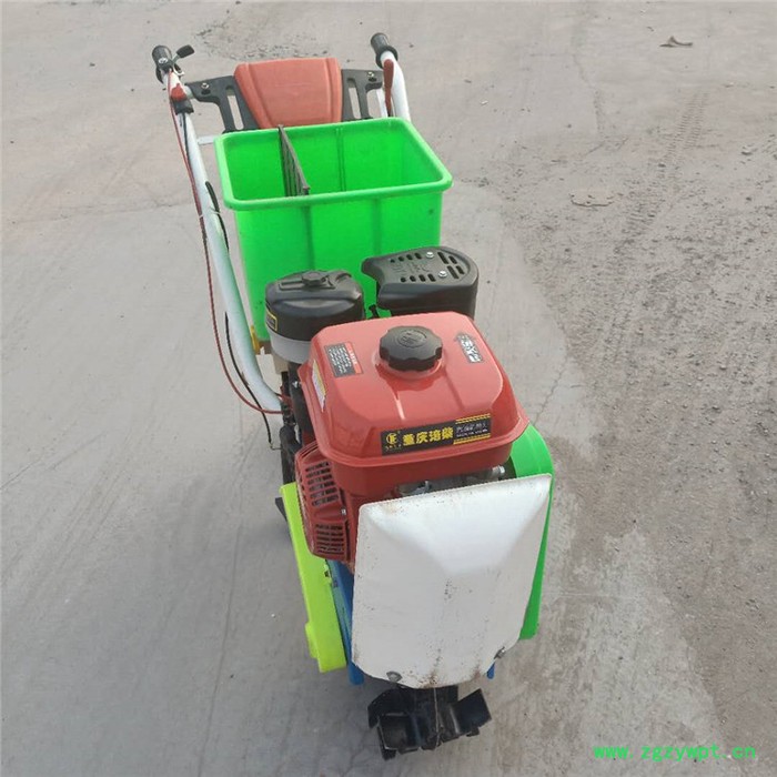 手推式汽油中药材播种机 新款大葱育苗精播机 果园农田专用玉米播种机图7