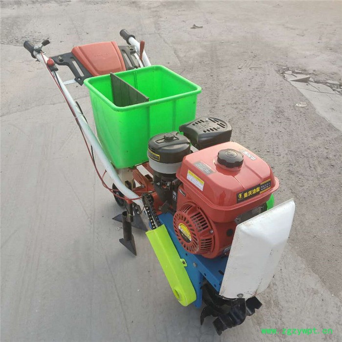 手推式汽油中药材播种机 新款大葱育苗精播机 果园农田专用玉米播种机图3