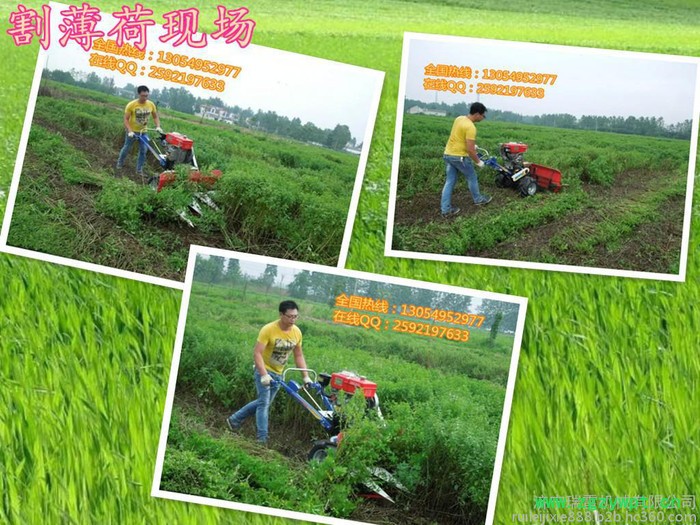 织金县手扶拖拉机收割机牧草割晒机药材收割机图6