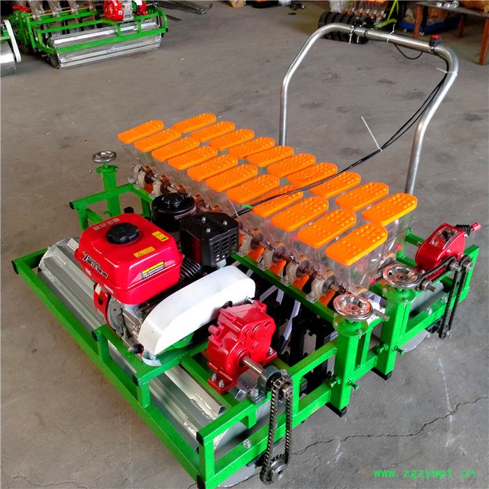 新款株距可调蔬菜播种机 多功能菜籽药材播种机 供应油菜播种机 优民图8