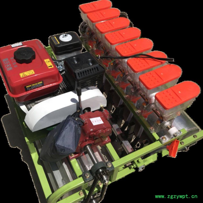 药材播种机 冠发多功能小型蔬菜播种机 中药材颗粒小型精播机图2