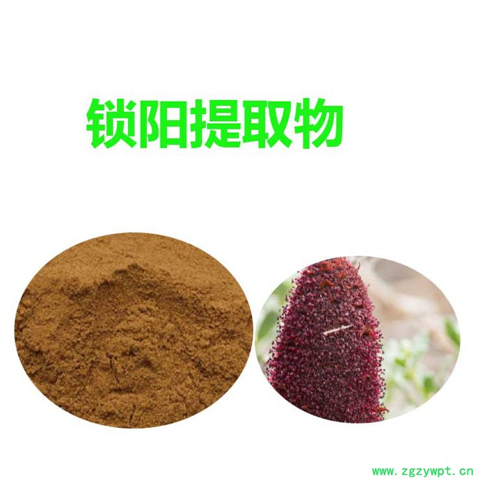 甘肃斯诺特 锁阳提取物  锁阳粉 食品原料图5