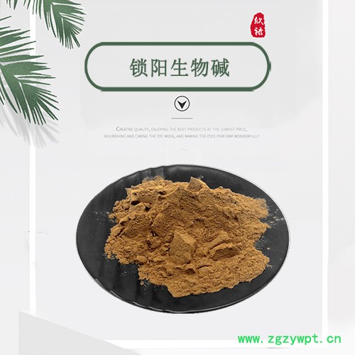 100g小包装  锁阳生物碱 98%含量 锁阳萃取提取物 现货供应图2