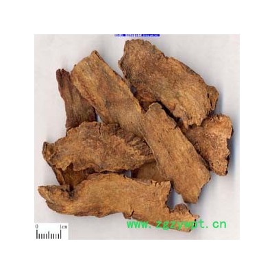 供酒泉锁阳特点，酒泉锁阳，酒泉锁阳认准盛宝