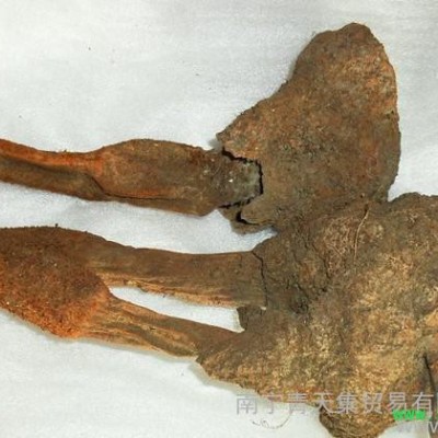 供应青天集26锁阳