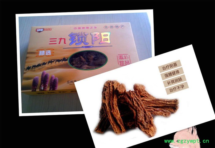 甘肃瓜州特产 三九锁阳 西北**天然滋补 壮阳补肾图2