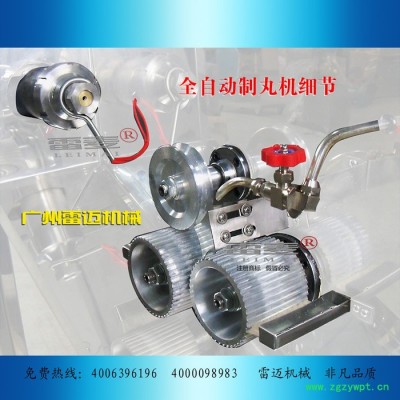 供应雷迈全自动制丸机全自动中药制丸机