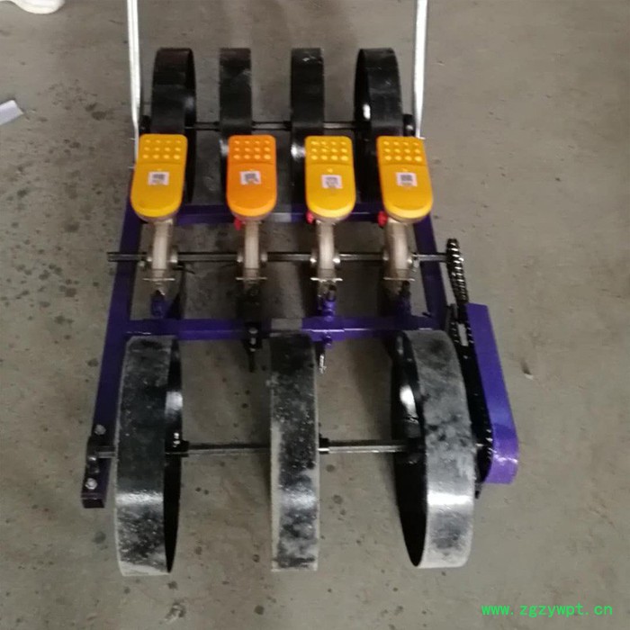 蔬菜播种机 小型菜籽谷子点播机 可播种药材蔬菜等作物 一行到多行都有图4