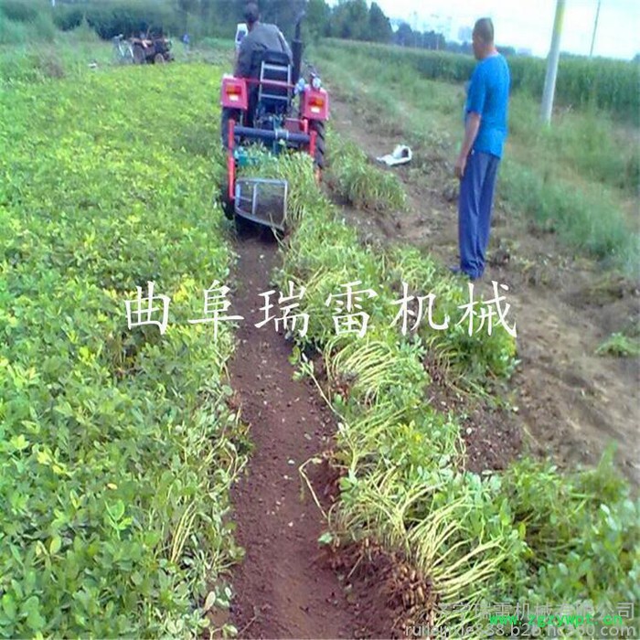 加厚耐用药材收获机瑞雷牌 多种药材收割机芍药药材收获机制造商 转笼式图3