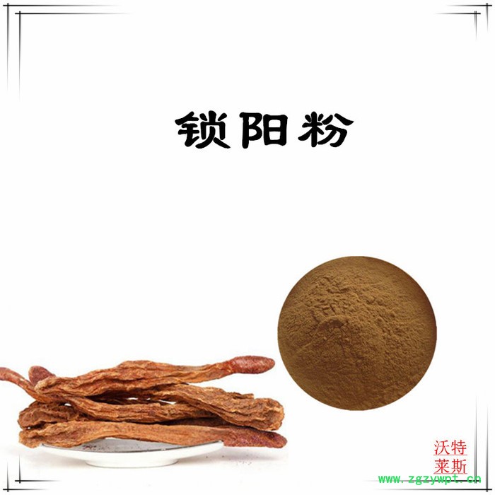 沃特莱斯 锁阳提取物10:1 锁阳碱 速溶锁阳粉图5