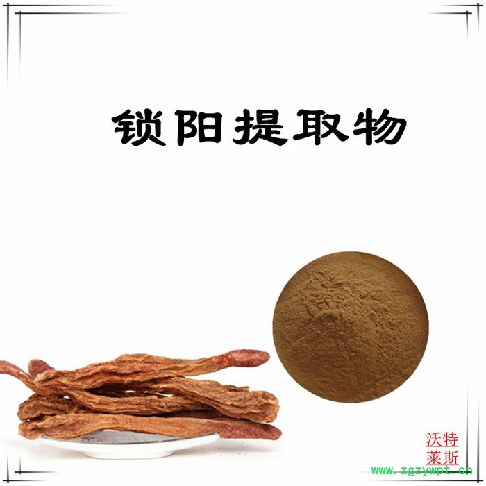 沃特莱斯 锁阳提取物10:1 锁阳碱 速溶锁阳粉图6