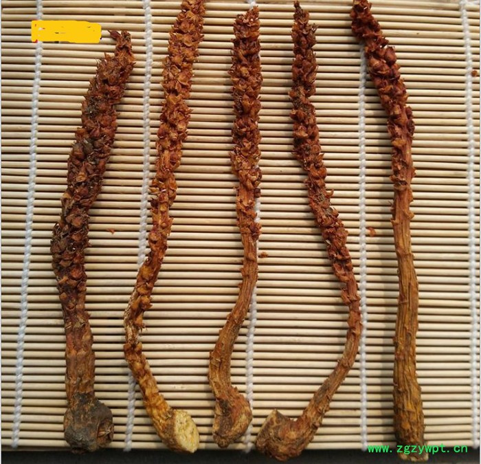 不老草（大号）10克的云南回春草不老草顶天柱草苁蓉产地泡酒料定制款直销批发草苁蓉风流果锁阳男性肾滋补酒当泡茶长白山不老草图7