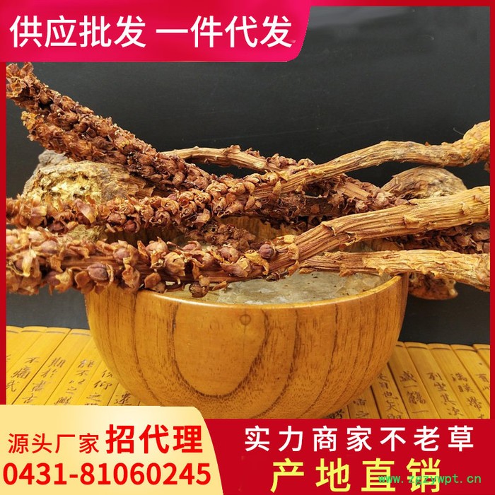 不老草（大号）10克的云南回春草不老草顶天柱草苁蓉产地泡酒料定制款直销批发草苁蓉风流果锁阳男性肾滋补酒当泡茶长白山不老草图2