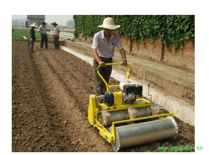 泽坤定制 播种机 蔬菜播种机厂家  芹菜播种机 药材播种机