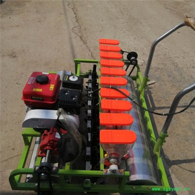 广盛  汽油自走蔬菜药材播种机 人力手推草种子青菜播种机 电动药材播种机