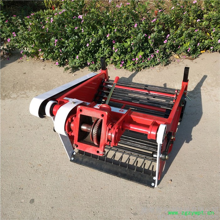 宇润    土豆杀秧机 中药材收获机 四轮红薯收获机厂家图2