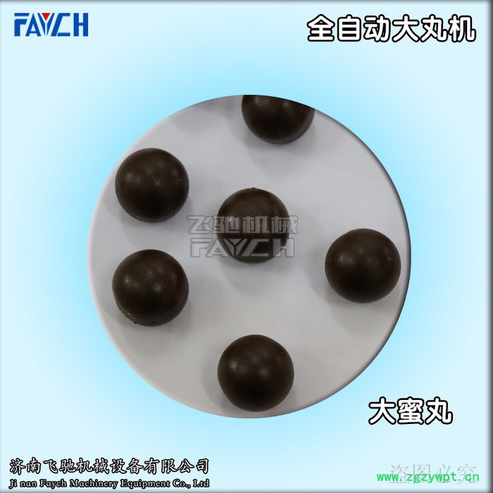 山东飞驰FAYCH牌ZW-369S 现货全自动大蜜丸机可定制不同规格模具3克6克9克大蜜丸机**图2