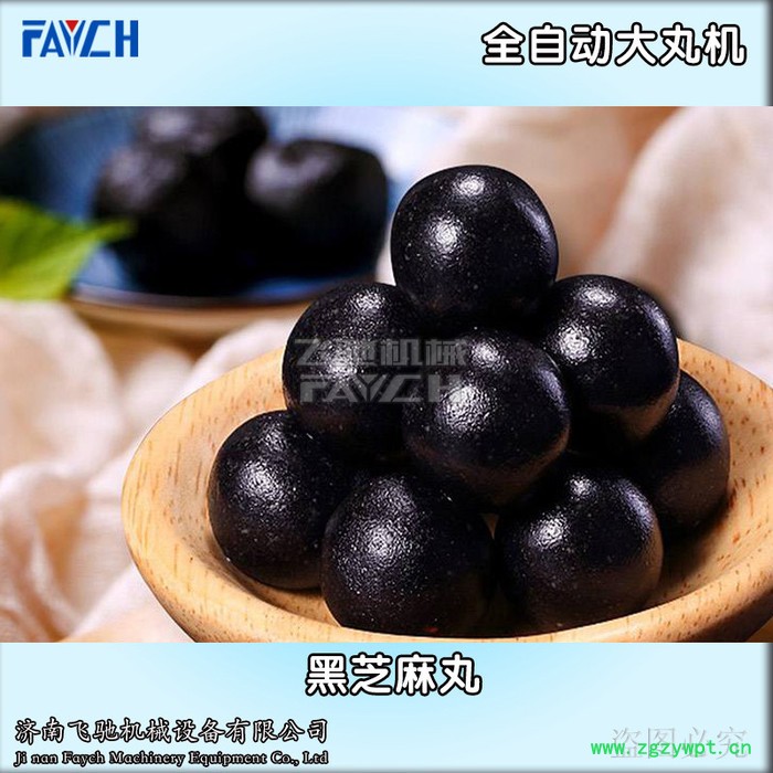 山东飞驰FAYCH牌ZW-369S 现货全自动大蜜丸机可定制不同规格模具3克6克9克大蜜丸机**图3