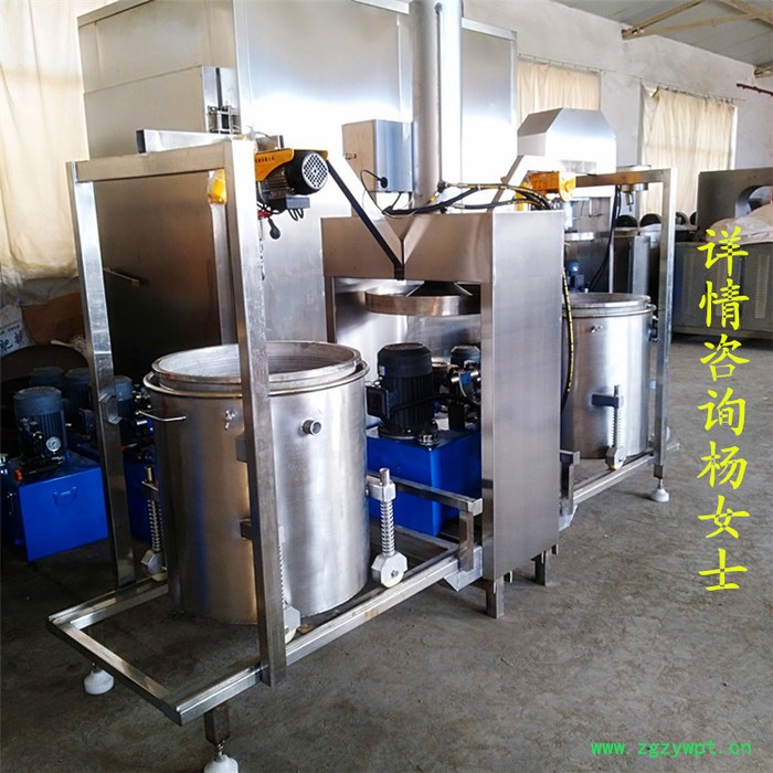 果蔬酵素过滤清汁压榨机 中药材药渣药酒过滤双桶轮换压榨机   自动保压液压压滤机图3