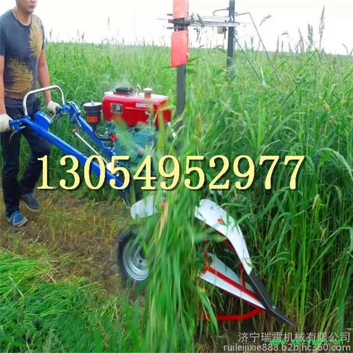 何首乌挖药机 济宁瑞雷多种药材收割机厂家收割机 农业专用收割机 多功能图7