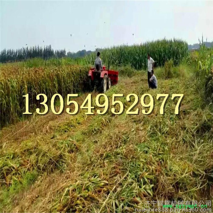 何首乌挖药机 济宁瑞雷多种药材收割机厂家收割机 农业专用收割机 多功能图4