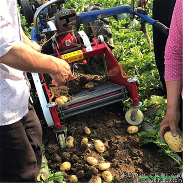 四轮拖拉机土豆收获机 红薯收获机 青岛药材收获机图7
