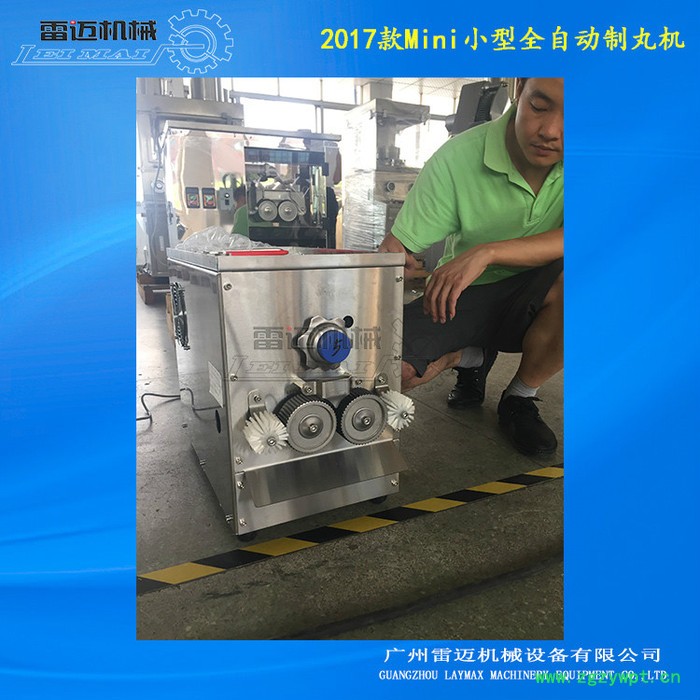 雷迈小型全自动制丸机中药全自动制丸机小型高效中药制丸机zw-95雷迈牌zw-95 全自动小型中药制丸机图2