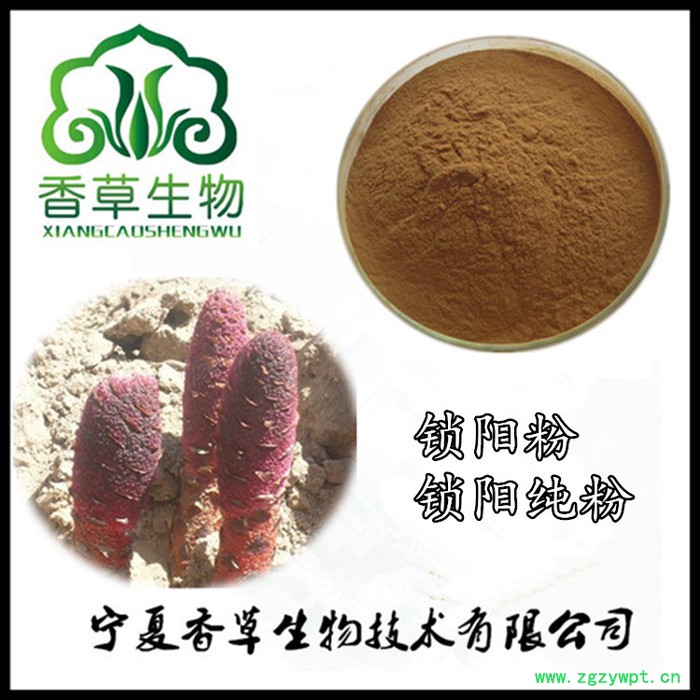锁阳粉98% 沙漠锁阳萃取粉价格 宁夏厂家批发锁阳浸膏粉现货图3