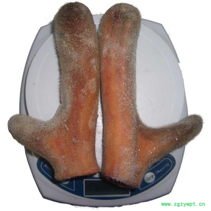 酒泡鹿茸煲汤泡酒苁蓉锁阳鹿茸泡酒图2