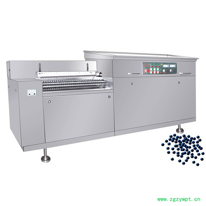 新盛药机 供应ZMW2000A(B)型全三辊自动大蜜丸机  大蜜丸机生产厂家图3