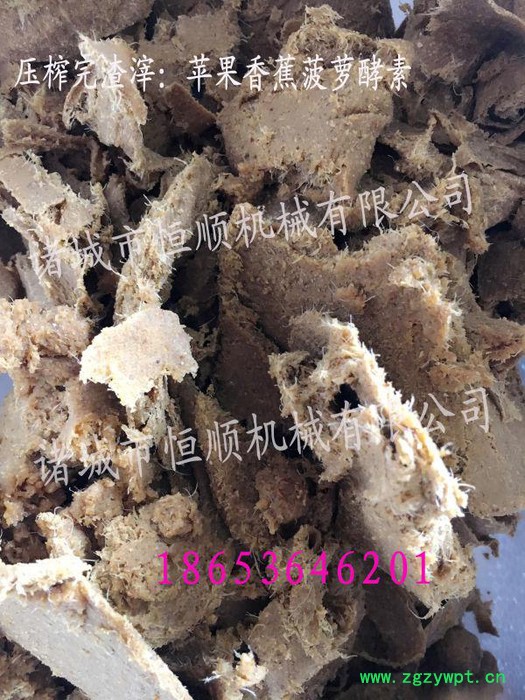 药渣、药材压榨机 酒糟压榨机 江苏各地中药渣压榨脱水设备图4