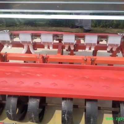 拖拉机带多行中药材蔬菜播种机 专用精播种机 谷子播种机