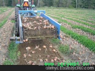 红薯收获机 土豆收获机 药材收获机科阳”牌红薯收获机多功能薯类收获机图5