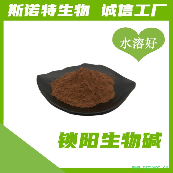 锁阳生物碱98% 锁阳提取物 锁阳浓缩粉图3